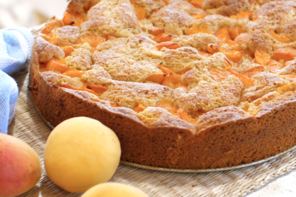 Apricot cake recipe